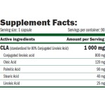 Amix Nutrition GreenDay CLA 1000 / 90 гел капсули на супер цена