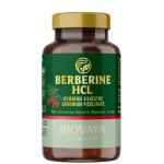 Biovaya Berberine HCL 60 капсули на супер цена