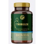 Biovaya Tribulex 60 капсули на изгодни цени Biovaya Tribulex 60 капсули на супер цена