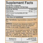 Double Wood Akkermansia | Probiotic with 5 Billion Active Cells 120 капсули на супер цена