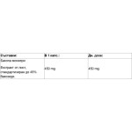 Double Wood Bacopa Extract 450 мг / 90 капсули на супер цена