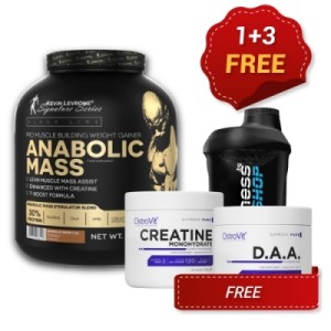 1+3 FREE Muscle and Strength Fitholic (Мускулна маса и сила)