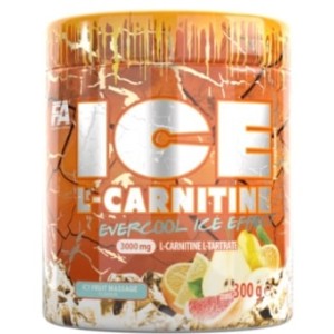 FA Nutrition ICE L-Carnitine 300 гр
