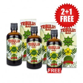 Cvetita Herbal 2+1 FREE TRIBULUS MAX Liquid 100 мл, 33 Дози