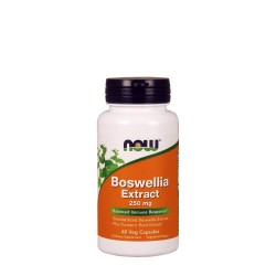 NOW Boswellia Extract 250 mg 60 caps
