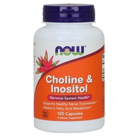 NOW Choline & Inositol 500mg. / 100 Caps.