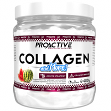 Pro Active Collagen&More 400 гр