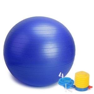 Armageddon Sports Фитнес гимнастическа топка 65 см, Син