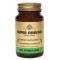 Solgar FP Super Ginkgo, 60 vcaps