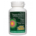 Natural Factors Papaya Enzymes / 60 дъвчащи таблетки на супер цена