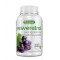 Quamtrax Resveratrol + Proanthocyanidin / 60 caps
