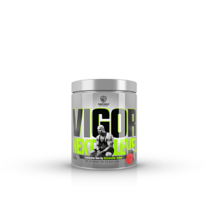 SWEDISH Supplements VIGOR Next Level 500 гр / 26 Дози