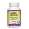 NATURAL FACTORS Ubiquinol Active CoQ10 100 мг / 60 гел капсули
