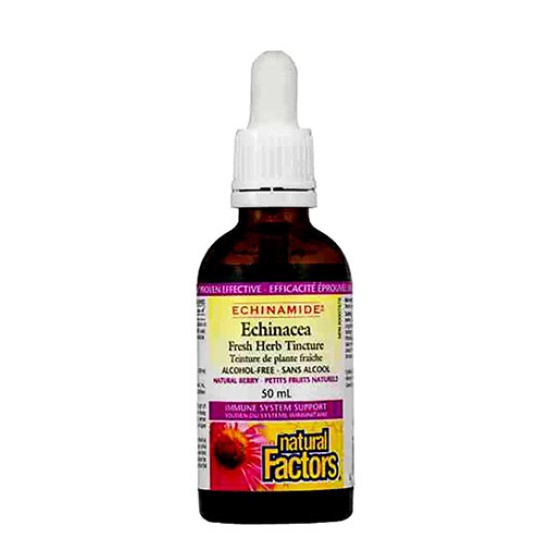 NATURAL FACTORS Echinamide Echinacea Fresh herb Tincture 50 мл на супер цена