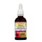 NATURAL FACTORS Echinamide Echinacea Fresh herb Tincture 50 мл