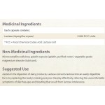 NATURAL FACTORS Lactase Enzyme / 60 капсули на изгодни цени NATURAL FACTORS Lactase Enzyme / 60 капсули на супер цена