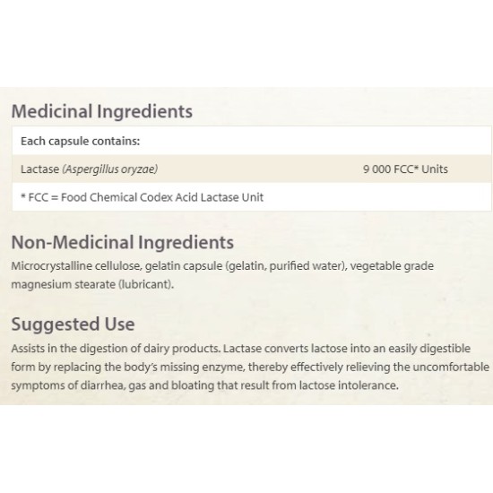 NATURAL FACTORS Lactase Enzyme / 60 капсули на изгодни цени NATURAL FACTORS Lactase Enzyme / 60 капсули на супер цена