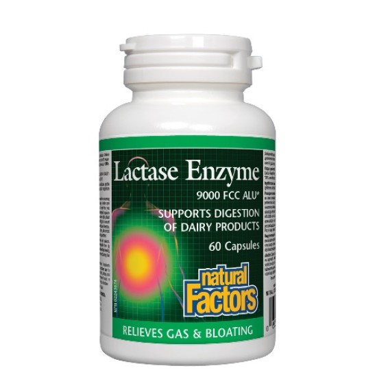NATURAL FACTORS Lactase Enzyme / 60 капсули на изгодни цени NATURAL FACTORS Lactase Enzyme / 60 капсули на супер цена