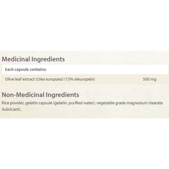NATURAL FACTORS Olive Leaf 500 мг / 90 капсули на супер цена