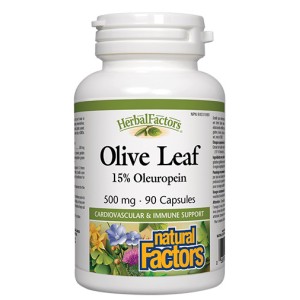 NATURAL FACTORS Olive Leaf 500 мг / 90 капсули NATURAL FACTORS Olive Leaf 500 мг / 90 капсули