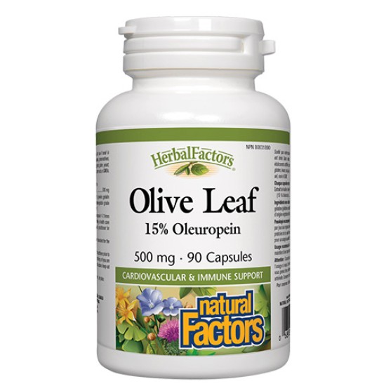 NATURAL FACTORS Olive Leaf 500 мг / 90 капсули на супер цена