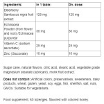NATURAL FACTORS Echinamide Zinc Lozenges / 60 дъвчащи таблетки на супер цена