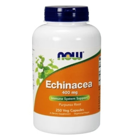 NOW Echinacea 400 мг / 250 капсули на супер цена