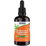 NOW Echinacea & Goldenseal Glycerite 59 мл на изгодни цени NOW Echinacea & Goldenseal Glycerite 59 мл на супер цена