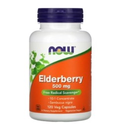 NOW Elderberry 500 мг / 120 капсули