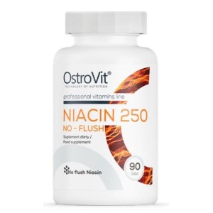OstroVit Niacin 250 | No-Flush 90 таблетки