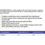 Pro Active GLUTAMINE SHOCK 500 гр на супер цена