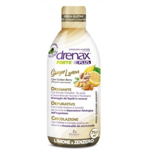 Paladin Pharma Drenax Forte Plus Ginger Lemon 750 мл