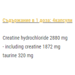 SFD HCL CREATINE 180 капсули на супер цена