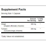 Swanson Full Spectrum Ginger & Turmeric / 60 caps на изгодни цени Swanson Full Spectrum Ginger & Turmeric / 60 caps на супер цена