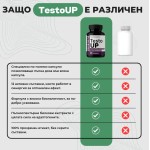 Testograph Testo Up | Libido and Fertility 60 капсули на супер цена