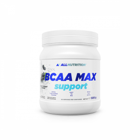 Allnutrition BCAA Max Support 500 гр