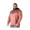 Legal Power Hoodie Landscape Boston 4222-864/405 - CEDORWOOD